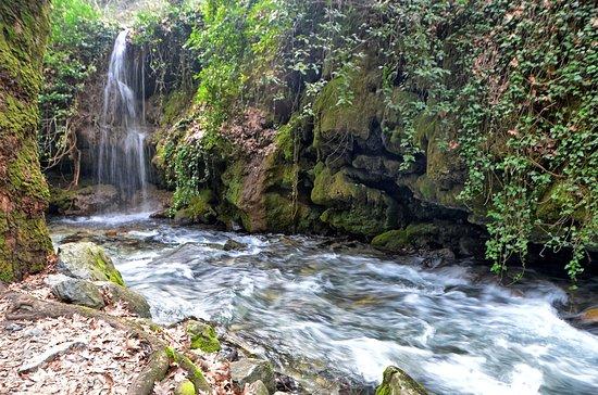 Pınarbaşı Piknik Alanı
